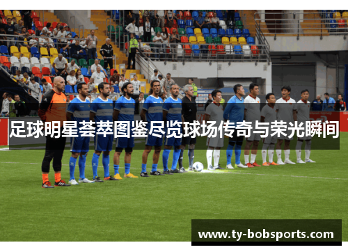 足球明星荟萃图鉴尽览球场传奇与荣光瞬间