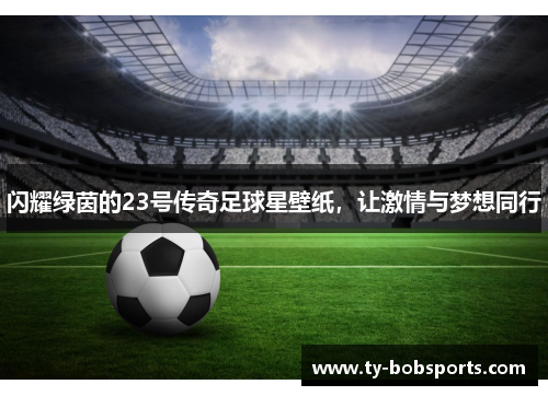 闪耀绿茵的23号传奇足球星壁纸，让激情与梦想同行